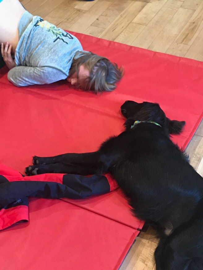 2728815E-1ABF-4488-B650-130F262BCF1A