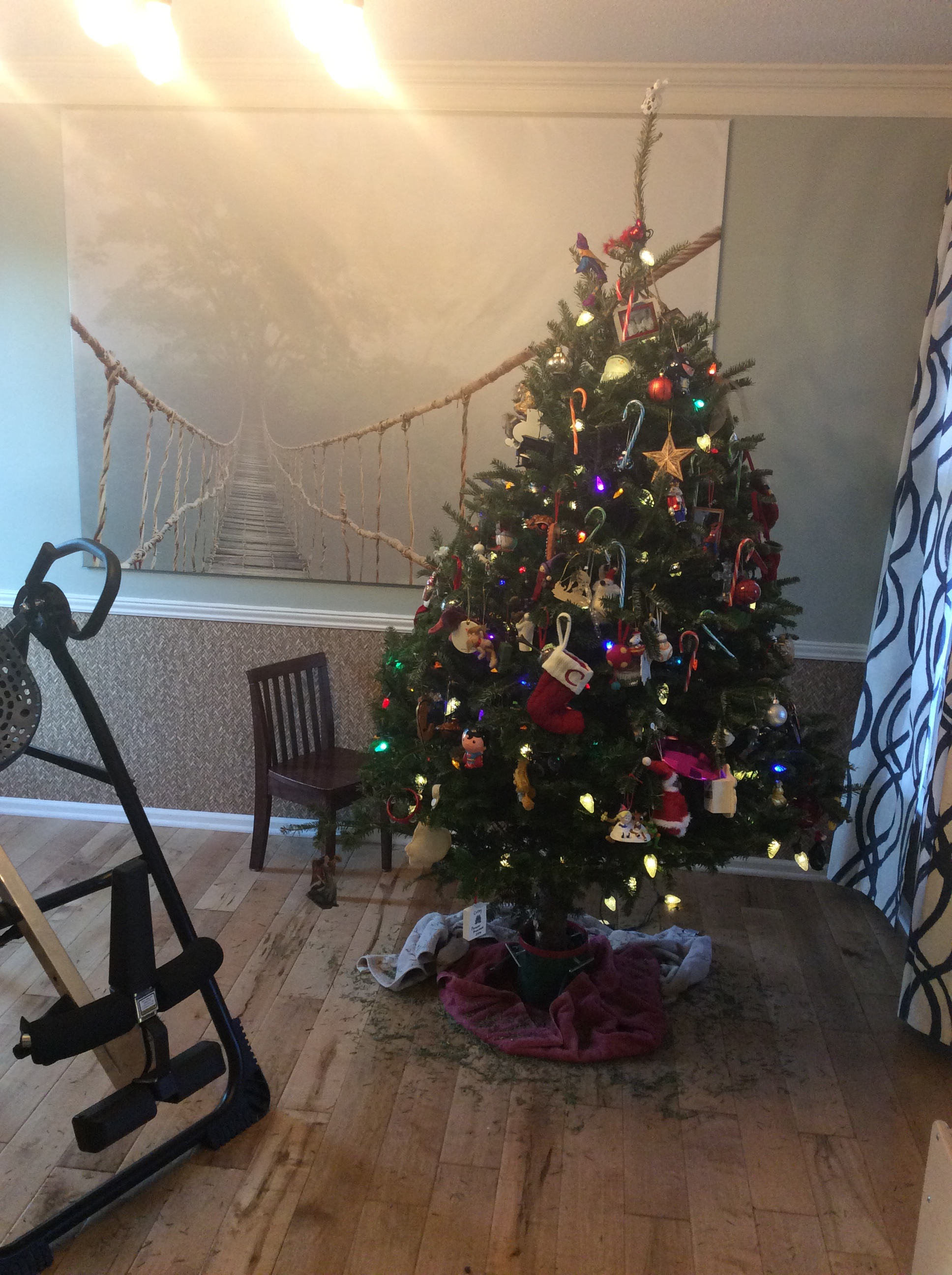 4114CCAC-091D-440A-83A2-18A21B46F0E1