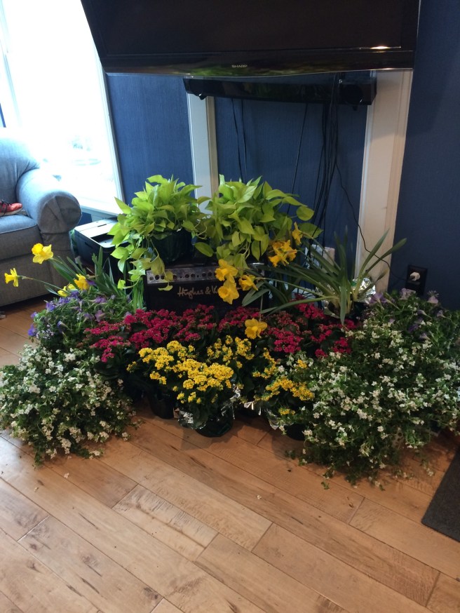 672B0221-3FCF-4017-B5B6-63462F8326C5