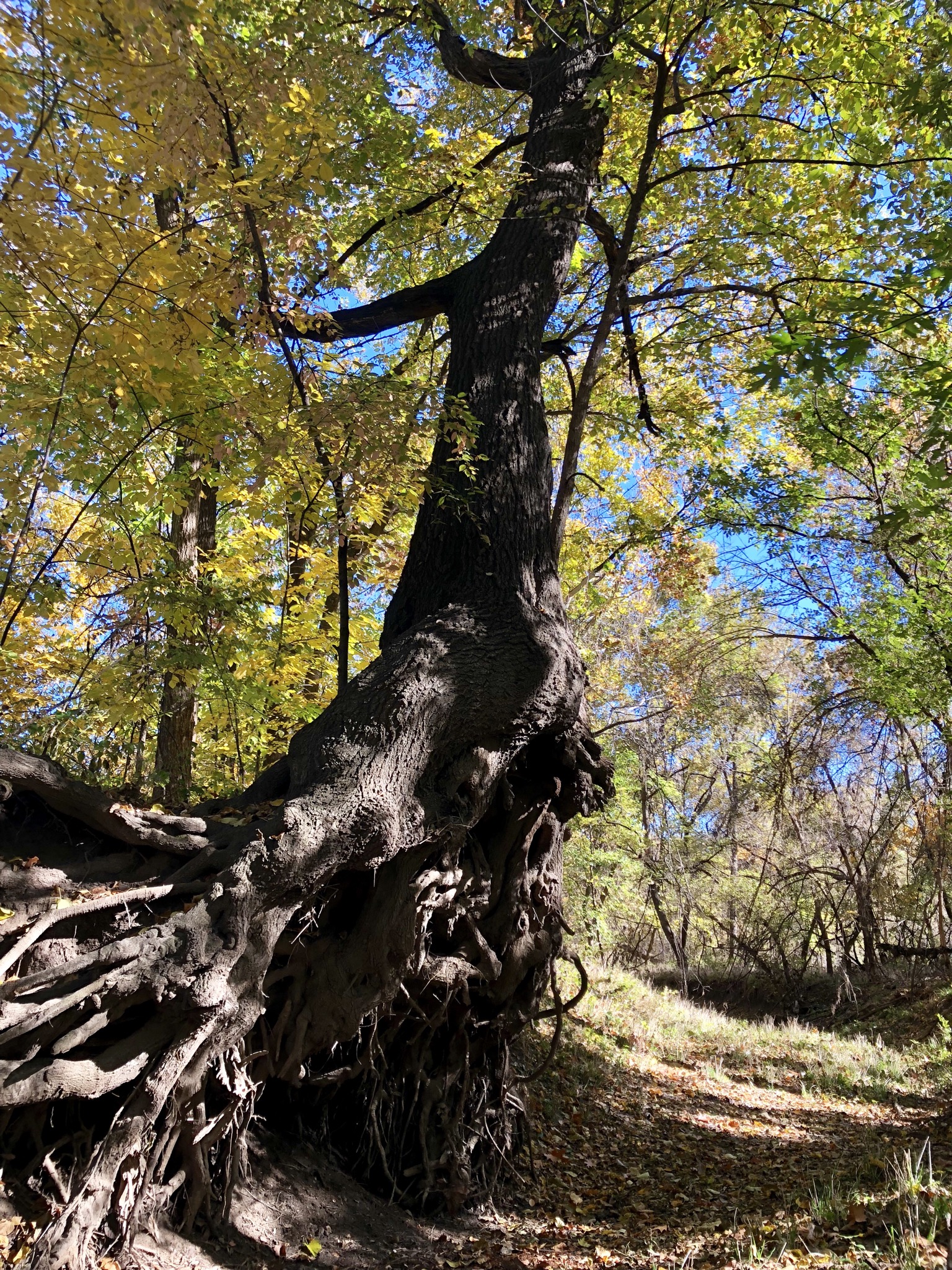 09CFAAAE-EF35-4D5D-98B8-C5675EAD7BF9