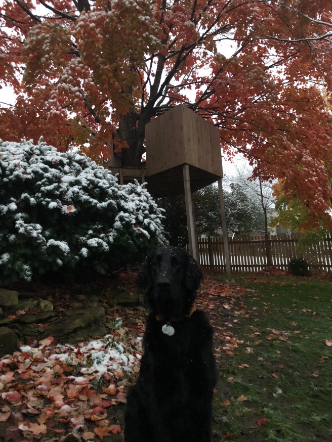 6C86818A-068F-43B1-82F6-DDAEA82C5CF1